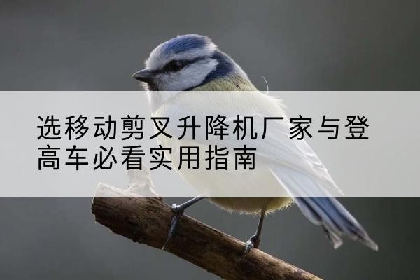 无为电动升降机厂家-选移动剪叉升降机厂家与登高车必看实用指南