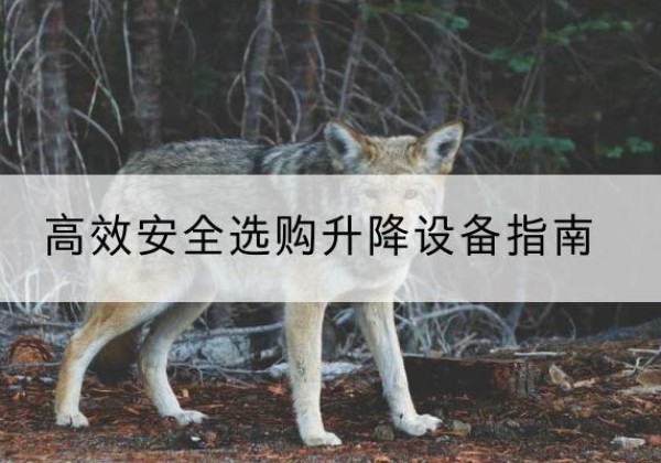 无为升降货梯厂家推荐-*安全选购升降设备指南