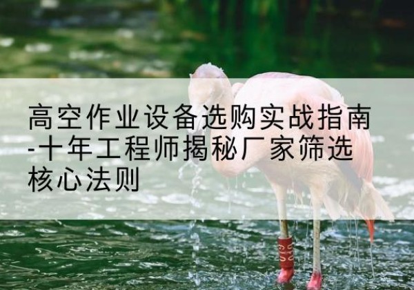 无为剪叉式升降机厂家-高空作业设备选购实战指南-十年工程师揭秘厂家筛选核心法则